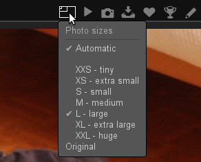New plugin Automatic Size adds an option in the size selection box.