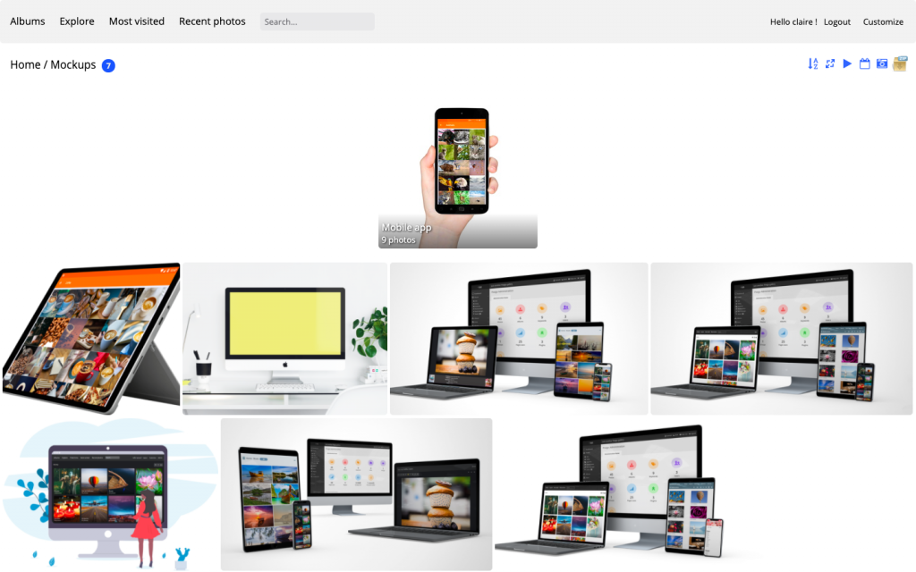 piwigo teamwork photo library